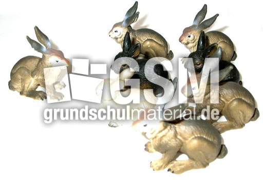 Hasen1+7.jpg